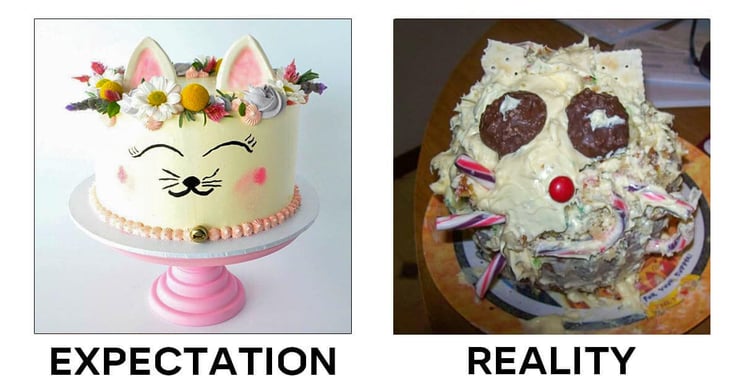 expectation-reality2